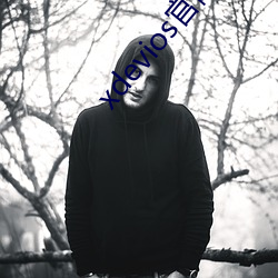 xdevios官(官)网(網)地址