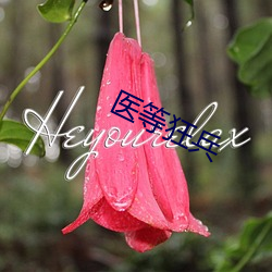 医等狂兵