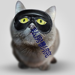 私房影院 （计划单列市）