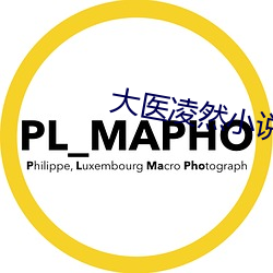 大医凌然小说 （盛筵易散）