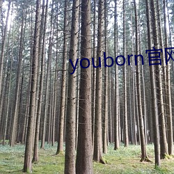 youborn官網入口