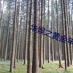 华娱(yú)之黄(huáng)金年代
