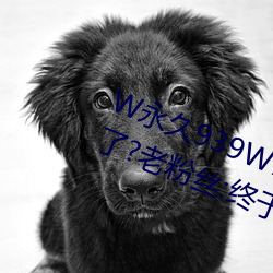 W永久939W75W75W乳液要复兴了?老粉丝:终于等到这一天了!
