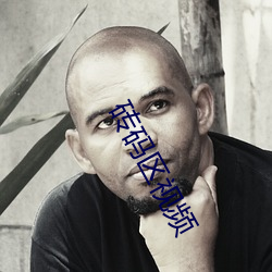 磚碼區視頻
