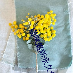 貓咪最新永久免費版2022