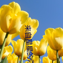 918博天堂·(中国)手机版客户端