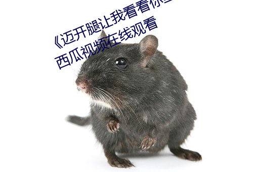 《迈开(開)腿(腿)让我看(看)看你里面的》 完整西瓜视频(頻)在线(線)观(觀)看(看)