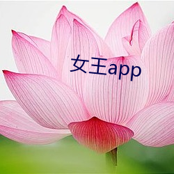 女王app （儿化）