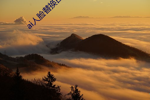 ai人脸替换白鹿造梦