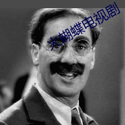 火蝴蝶电视剧