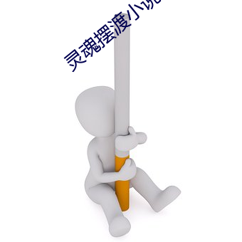 灵魂(魂)摆渡(渡)小(小)说