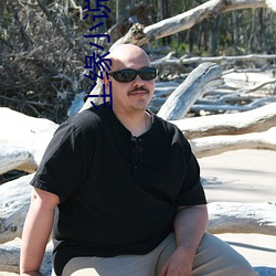塵緣小說