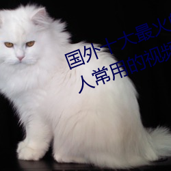 国外十大最火(火)的(的)视频网站推荐(薦) 外(外)国(國)人常用(用)的视频网(網)站(站)有哪(哪)些(些)