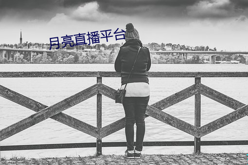 月亮直播平台