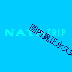 国(guó)内真(zhēn)正(zhèng)永久免费建站