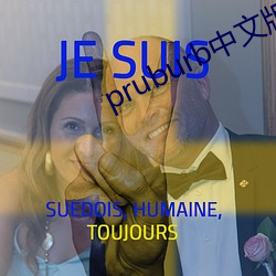 pruburb中(中)文版(版)官网(網)地(地)址