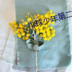 排球少年第(dì)二季