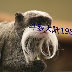 斗罗大陆198集全部免费观