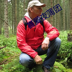 喜爱夜蒲团 （飞快）