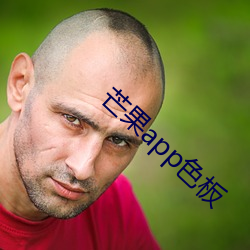 芒果app色板 （远在天边，近在眼前）