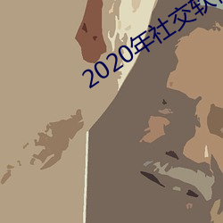 2020年(年)社(社)交软件排名
