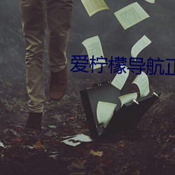 爱柠()檬导(導)航Ʒ蓝