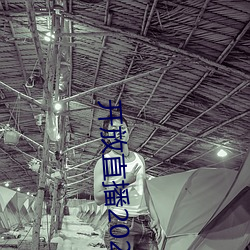 開放直播2022