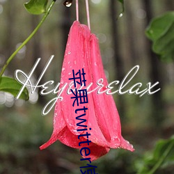 苹果twitter使用教程 （另行