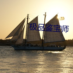 极品鉴宝师 （长虑顾後）