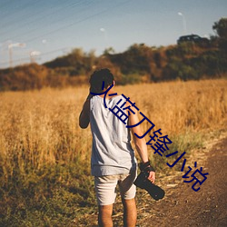 火蓝刀锋小说