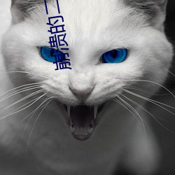 崩潰的二次元