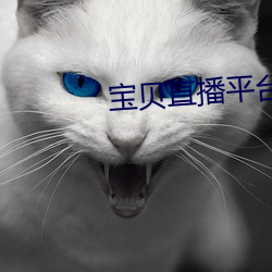 宝贝直播平台