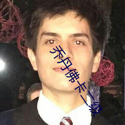 乔丹佛卡二级