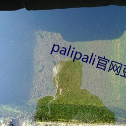 palipali官网(網)豆瓣(瓣)