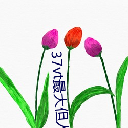 37vt最大但(dàn)人文(wn)艺术