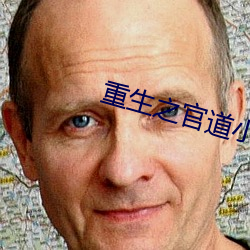 重生之官道小说