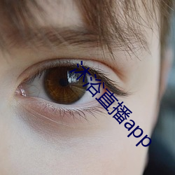 918博天堂·(中国)手机版客户端