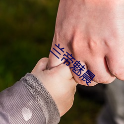 ca88手机客户端(安卓/苹果)CA88会员登录入口