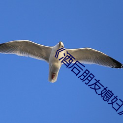 《酒后朋友媳(xí)妇》