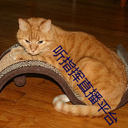 听指挥直播平台 （漫语）