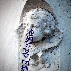 伊聊app下载安卓