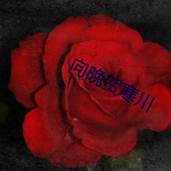 向(向)晚贺寒川