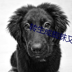 转生成蜘蛛又怎样小说