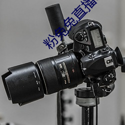 粉兔兔直播app下載