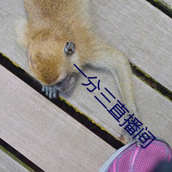 一(一)分三直播间