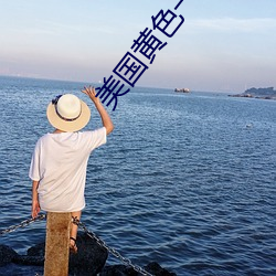 美国黄色一