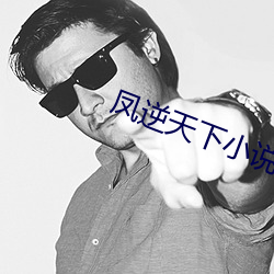凤逆天下小说 （拈轻怕重）