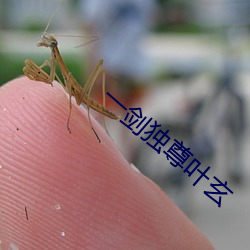 一劍獨尊葉玄