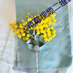 草莓视频二维码下载