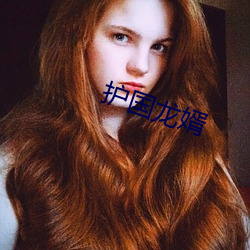 护国(guó)龙婿